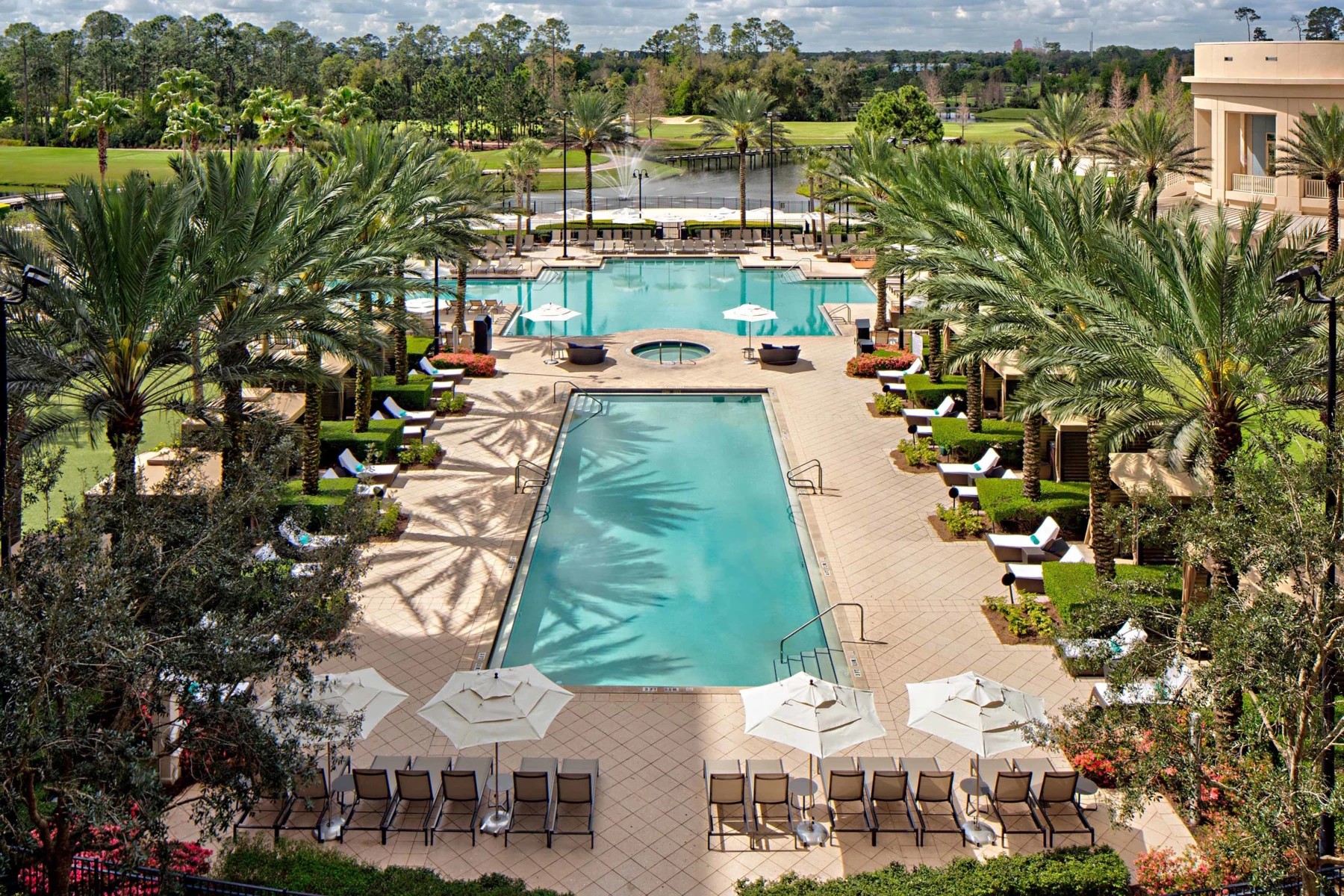 Palm-lined resort pool