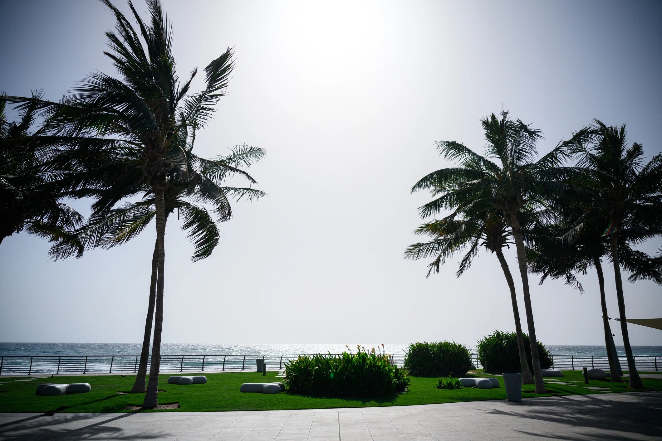 Palm-lined promenade with ocean views